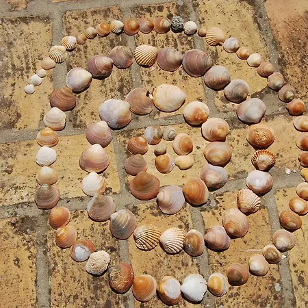 Casa Leonor * וחר דה לה פרונטרה