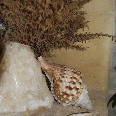 בית כפרי Casa Leonor וחר דה לה פרונטרה